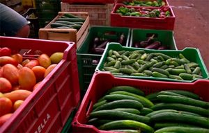 agrotoxico