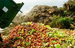 alimentos