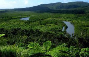 Novo guia promove manejo de florestas focado em recursos hídricos