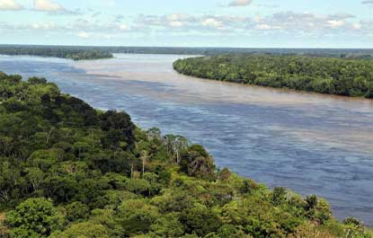 Dia da Amazônia e a luta pela preservação da maior floresta tropical do mundo