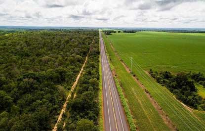 Cerrado perdeu quase 6 milhões de hectares de vegetação em 10 anos