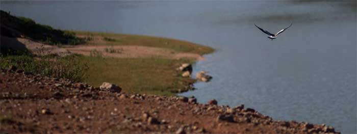 Cientistas alertam: secas nos rios Paraná e Prata podem piorar mais ainda