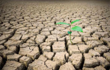 Está secando: Brasil perdeu mais de 15% de suas águas, diz estudo