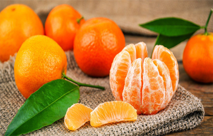 Benefícios da tangerina: fruta cítrica é fonte de energia e saúde