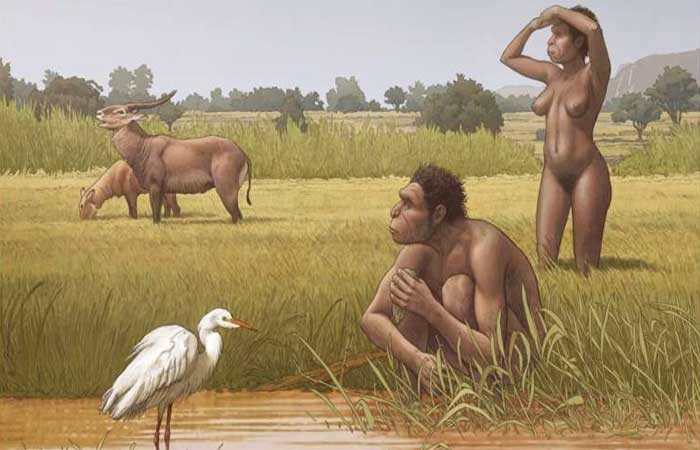 Novo ancestral humano é nomeado por especialistas: conheça o Homo bodoensis