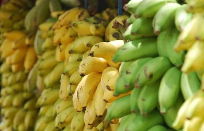 Biomassa de banana verde: o que é, benefícios e como preparar