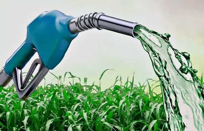 Biocombustível: entenda sua importância para a sustentabilidade