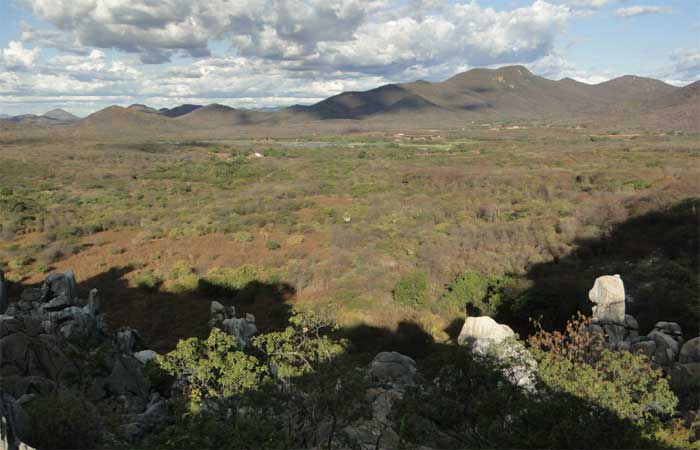 MapBiomas aponta fatores que aumentam o risco de desertificação da Caatinga