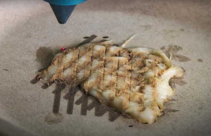 Frango grelhado impresso em 3D seria a comida do futuro?