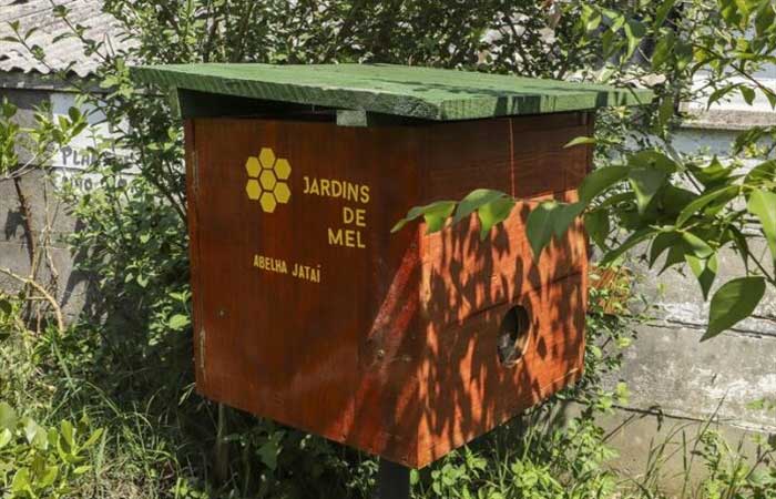 Curitiba espalha casinhas de abelhas para ter hortas mais produtivas