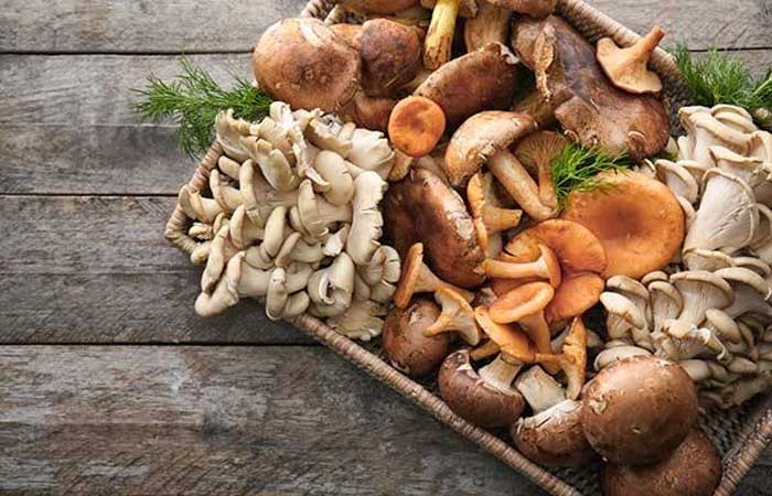 Comer cogumelo diminui o risco de depressão, sugere estudo