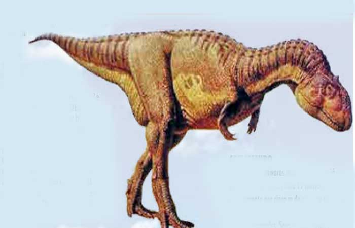 Dinossauros ‘paraibanos’ tinham hábitos distintos, afirmam estudiosos