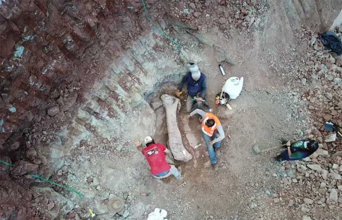 Fóssil de possível titanossauro é achado durante escavações no Maranhão