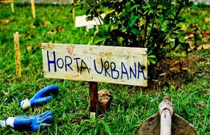 Em Goiás é lei, terrenos baldios viram hortas comunitárias e orgânicas