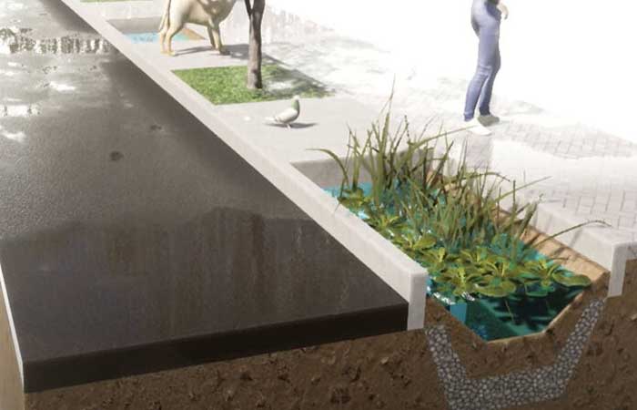 Projeto quer implantar jardins de chuva na Mooca