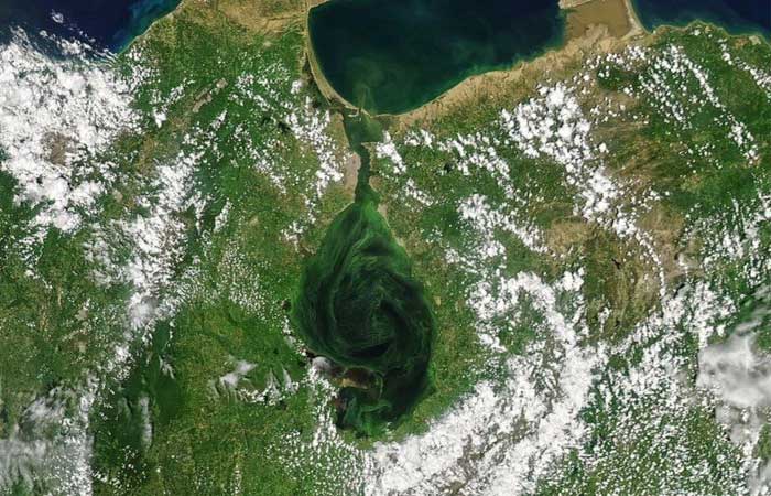 As imagens que mostram como maior lago da América do Sul está ficando verde