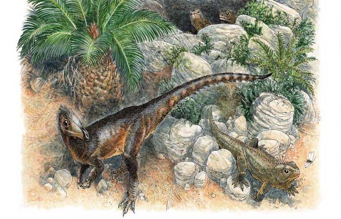Nova espécie de dinossauro quase não foi descoberta por erro de armazenamento