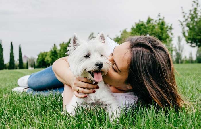 Saúde mental: pets podem ser aliados no combate ao estresse