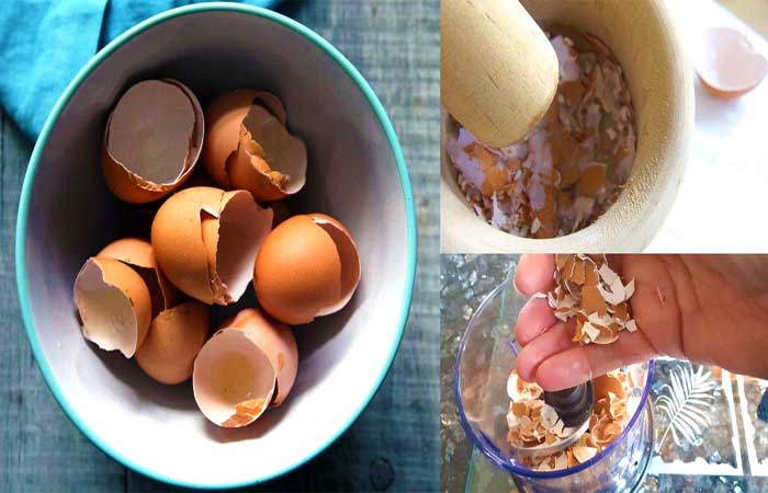 Pare de jogar cascas de ovo fora: 7 usos caseiros engenhosos