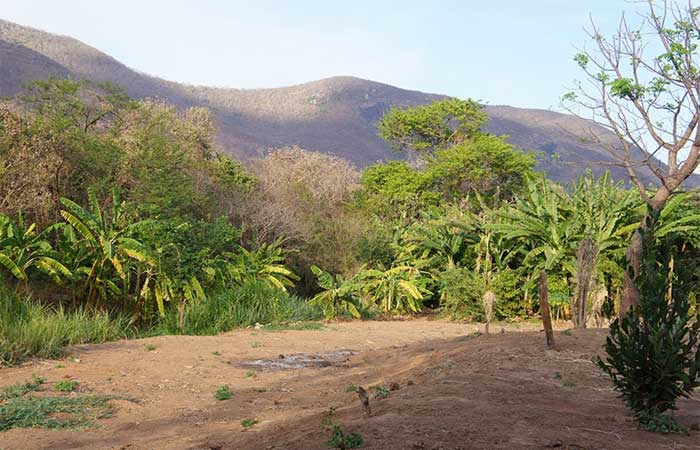 Técnicas simples e sustentáveis recuperam solos degradados no Ceará