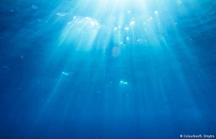“Precisamos de uma COP só para os oceanos”, diz cientista