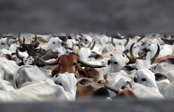 Indústria da carne controla debate ambiental e lança metas vagas