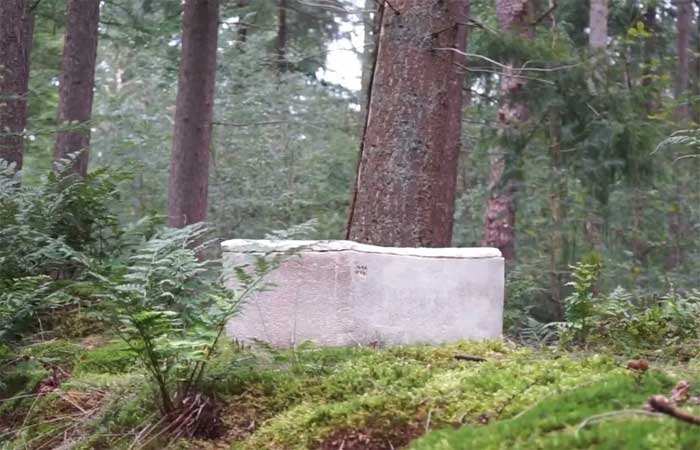 “Caixão vivo” de cogumelo pode ser o futuro para enterros sustentáveis