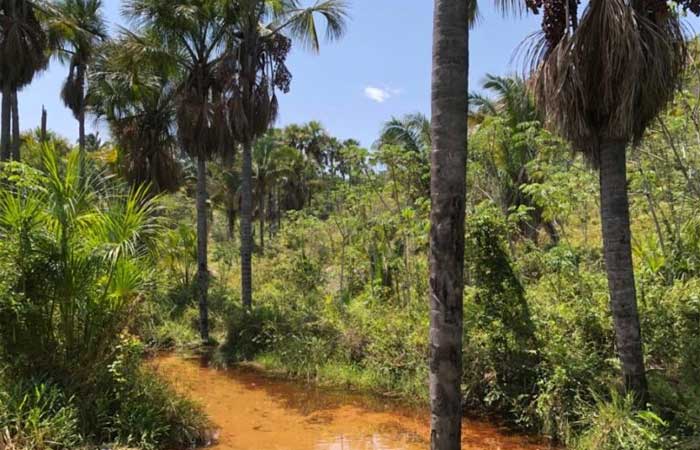 Casal cria RPPNS e protege áreas de Caatinga em Santana do Cariri