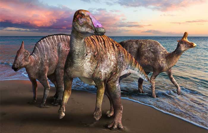 Conheça os dez dinossauros mais fabulosos descobertos em 2021