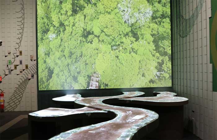 Museu do Amanhã apresenta a visitantes maior bioma tropical do mundo