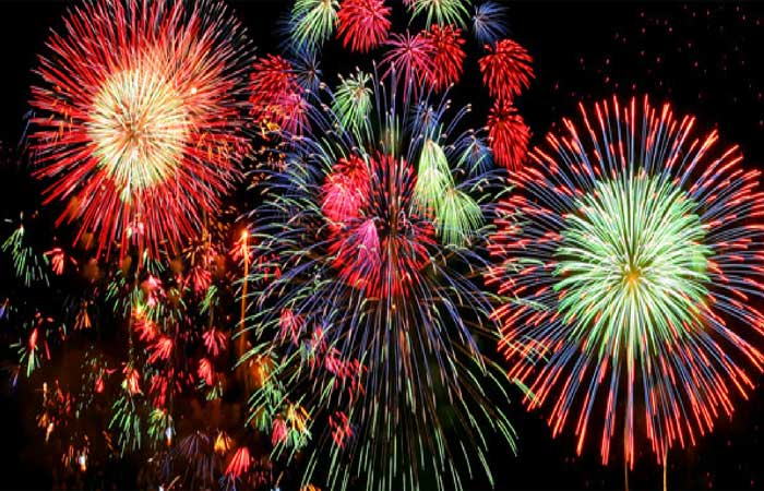 Fogos de artifício: medidas de proteção aos animais nas festas de fim de ano