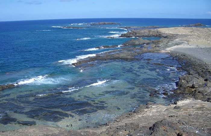 Reserva nas Ilhas Selvagens vai proteger mais de 2,6 mil km² no oceano Atlântico