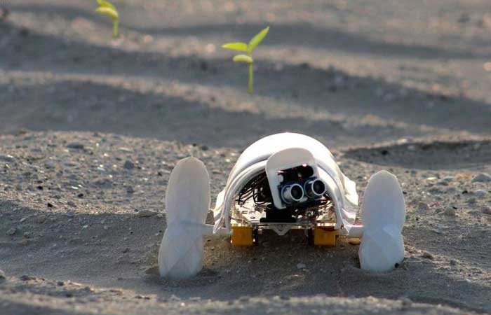 Mini robô autônomo percorre o deserto plantando sementes