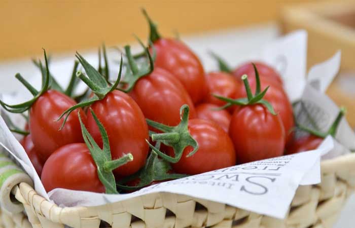 Empresa japonesa usou engenharia genética para criar uma nova variedade de tomate