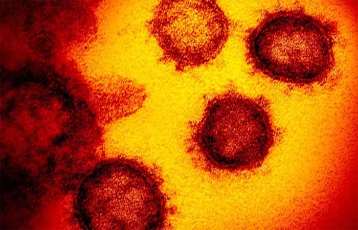 Variante ômicron do coronavírus é ‘muito transmissível’, mas mundo está mais bem-preparado com vacinas