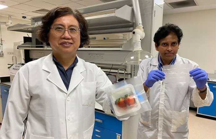 Cientistas criam embalagens de alimentos biodegradáveis ​​e capazes de matar bactérias nocivas