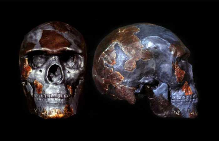 O mais antigo fóssil humano é ainda mais antigo do que se pensava, diz estudo