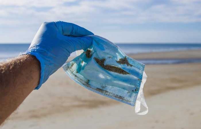 Efeito pandemia: aumento de descarte de lixo nos oceanos afeta fauna marinha