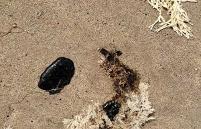 Prefeitura monitora praias de João Pessoa após vestígios de óleo serem encontrados no Bessa