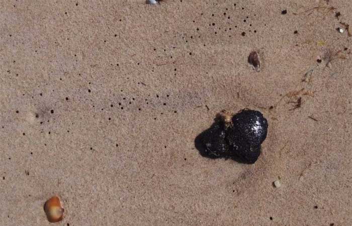 Manchas de petróleo voltam a aparecer no litoral cearense