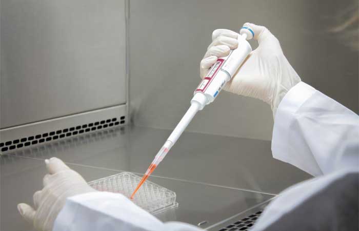 Pesquisadores da UFPB testam esteroide ouabaína contra o Zika vírus