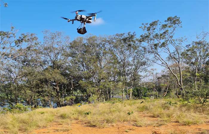 Tecnologia de reflorestamento utiliza drone para despejar biocápsulas de sementes na floresta
