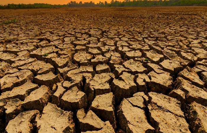 Cientistas alertam sobre o aumento da seca generalizada no século 21
