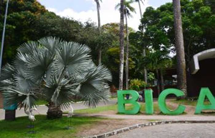Parque Arruda Câmara recebe título de Reserva Biosfera da Mata Atlântica