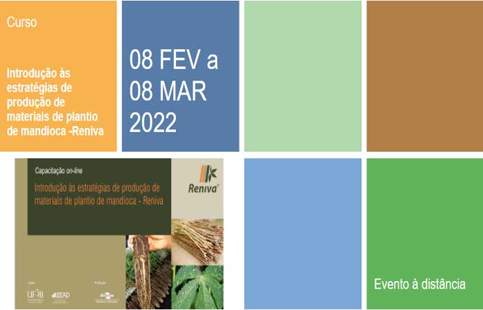 Introdução às estratégias de produção de materiais de plantio de mandioca -Reniva