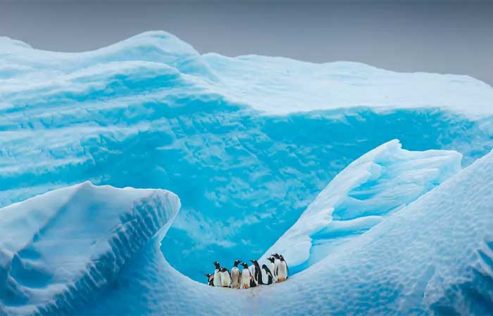 Gelo da Antártida encolhe para a menor superfície já registrada