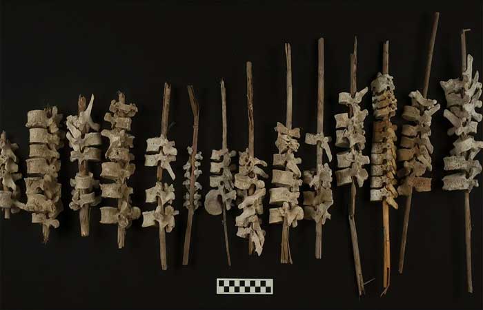 Arqueólogos tentam resolver mistério de ‘espetos de vértebras’ de 500 anos