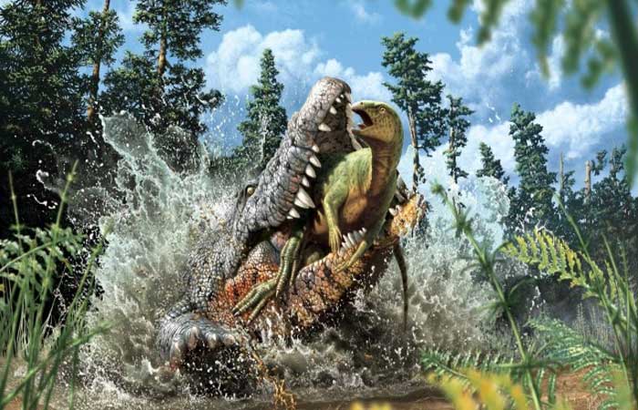 Fóssil de crocodilo que se alimenta de dinossauros é descoberto