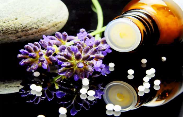 Homeopatia veterinária pode ajudar no tratamento de doenças