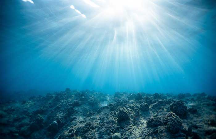 Calor extremo nos oceanos é o “novo normal” desde 2014, alertam cientistas